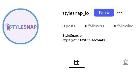 Instagram bio showing one of Unicode text styles